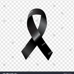 Meet your Posher, Freddy